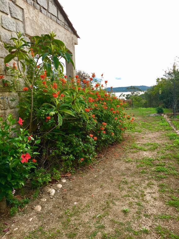 Villa Marina Di Fiori Pezza Cardo Porto Vecchio Exterior foto